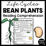Life Cycle of a Bean Plant Reading Comprehension Worksheet