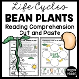 Life Cycle of a Bean Plant Reading Comprehension and Cut a