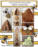 Life Cycle of a Bee Beehive & Bee Craft