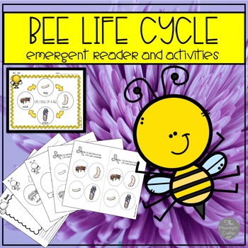 Preview of Life Cycle of a Bee Activity and Craft