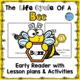 Summer ESL Activity Life Cycle of a Bee Early Reader Craft Wheel