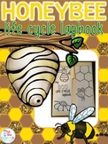 Life Cycle of a Bee Lapbook {with 12 foldables} Honeybee L