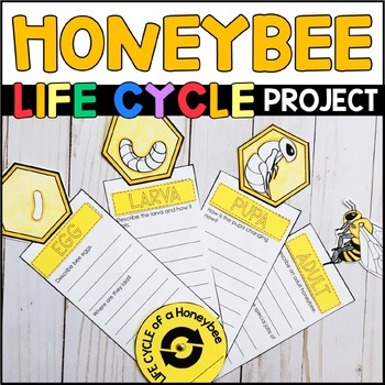 Preview of Life Cycle of a Bee Project - Bee Craft - Honeybee Research