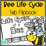 Life Cycle of a Bee Tab Flip book