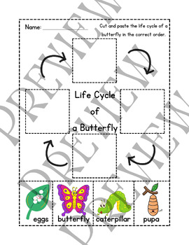 Life Cycle of a Butterfly by MKLearning 1 | TPT