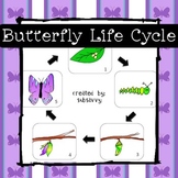 Butterfly Life Cycle