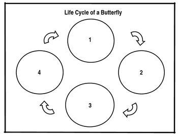 Life Cycle of a Butterfly by Speech Nook | TPT