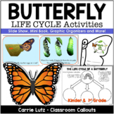 Science Activities: Life Cycle of a Butterfly