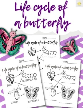 Preview of Life Cycle of a Butterfly