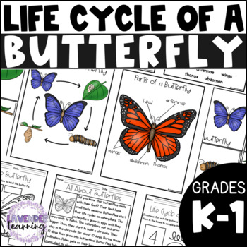 Life Cycle of a Butterfly Activities, Worksheets, Booklet - Butterfly ...