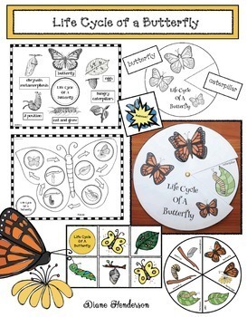 Preview of Life Cycle of a Butterfly Activities Caterpillar and Butterfly Activities