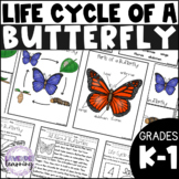 Life Cycle of the Butterfly Worksheets  - Butterfly Life C