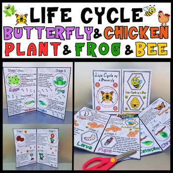 Preview of Life Cycle of a Butterfly,Bee,Frog,Chicken and Plant Craft Spring Science