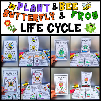 Preview of Life Cycle of a Butterfly,Bee,Frog and Plant Craft Spring Science Activities
