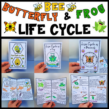Preview of Life Cycle of a Butterfly,Bee and Frog Craft Bundle Spring Science Activities