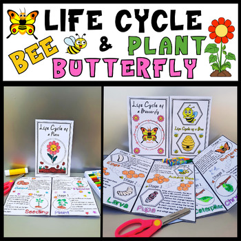 Preview of Life Cycle of a Butterfly,Bee and Plant Craft Bundle Spring Science Activities