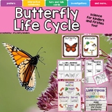 Life Cycle of a Butterfly, Butterflies