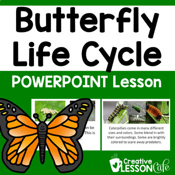 Preview of Butterfly Life Cycle | Spring Life Cycles Activities | PowerPoint Science Lesson