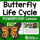 Life Cycle of a Butterfly | Butterflies Life Cycles | Powe
