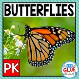 Life Cycle of a Butterfly | Butterfly Science | All About 