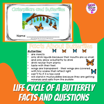 Preview of Life Cycle of a Butterfly Facts and Questions