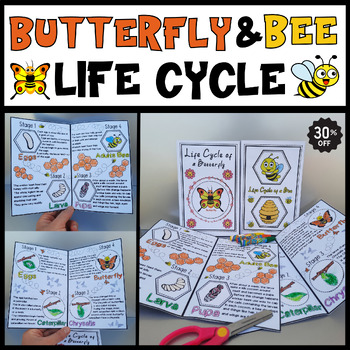 Preview of Life Cycle of a Butterfly Craft Spring Science Activities Bee Life Cycle Craft