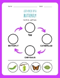 Life Cycle of a Butterfly: Cut and Paste in Order - Printa