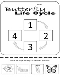 Life Cycle of a Butterfly - Digital & Printable resources