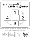 Life Cycle of a Butterfly - Digital Resource - Drag and Drop