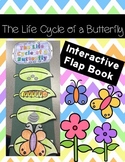Life Cycle of a Butterfly Flapbook