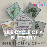 Life Cycle of a Butterfly Craft - Interactive Crafts - Sci