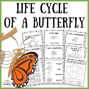 Life Cycle of a Butterfly Interactive Worksheets by The Cute and Cozy ...