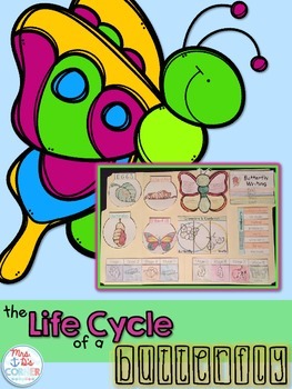 Preview of Life Cycle of a Butterfly Lapbook {with 12 foldables} Butterfly Life Cycle INB
