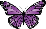 Life Cycle of a Butterfly Lesson Plan 