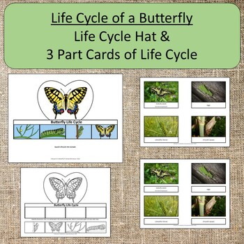 Life Cycle of a Butterfly Montessori Science Activities Homeschool ...