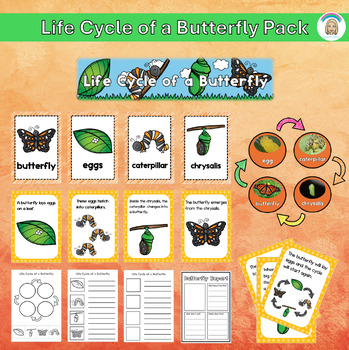 Life Cycle of a Butterfly Pack by muinteoirnifhinn | TPT