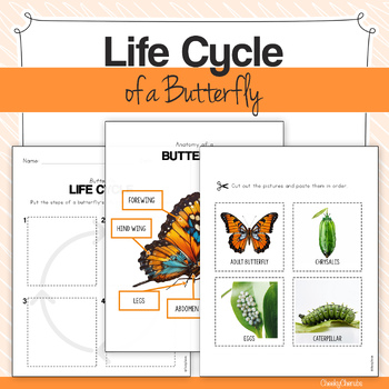 Preview of Life Cycle of a Butterfly - Posters and Activities