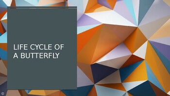 Preview of Life Cycle of a Butterfly PowerPoint