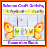 Life Cycle of a Butterfly - Science Craft Accordion Book Activity