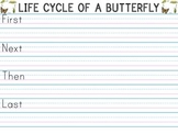 Life Cycle of a Butterfly - Sequence
