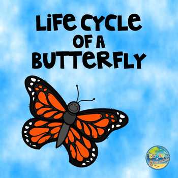 Preview of Life Cycle of a Butterfly:  Sequencing Activity and Work Sample
