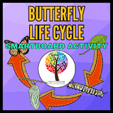 Life Cycle of a Butterfly | Smartboard Activity