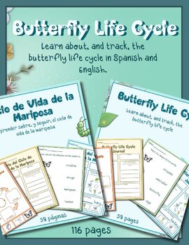 Preview of Life Cycle of a Butterfly - Spanish and English BUNDLE