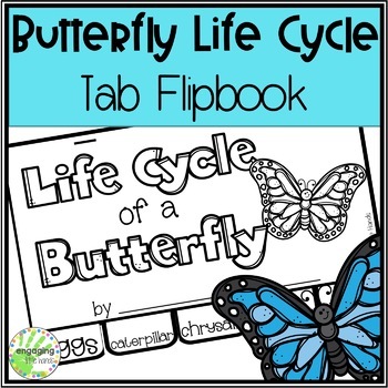 Butterfly Metamorphosis Flip Book