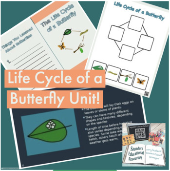 Life Cycle of a Butterfly Unit by Mrs Saunders Educational Resources