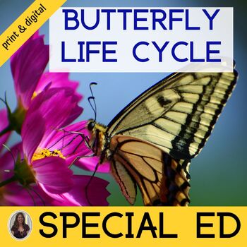 Preview of Life Cycle of a Butterfly Caterpillar Life Cycle Special Education Life Cycles