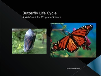 Preview of Life Cycle of a Butterfly- Webquest