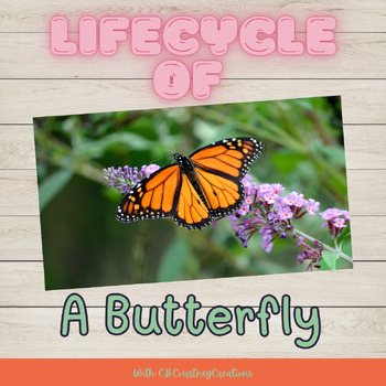 Preview of Lifecycle of a Butterfly with Presentation, Worksheets, and a coloring page