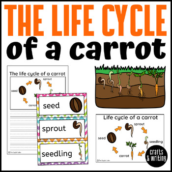Preview of Life Cycle of a Carrot | Writing Craftivity