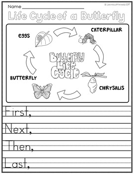 Preview of Life Cycle of a Caterpillar Writing Prompt Template